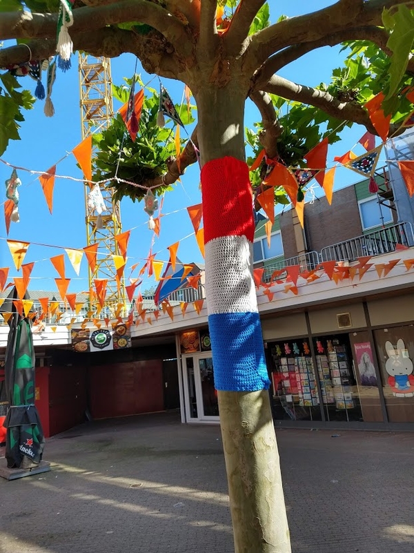 petuniatuin vlag voor oranje 13 6 2021 02