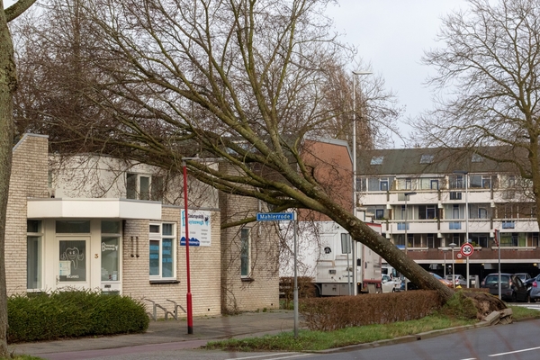 storm muzieklaan