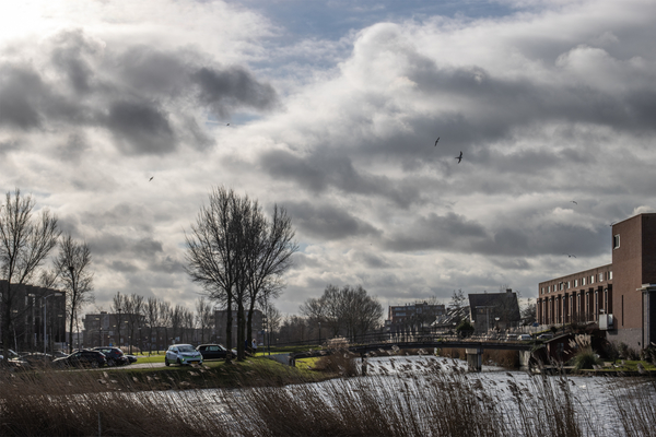 wfeb22 p_nicolaas_Wolkenlucht_boven_Noordhove