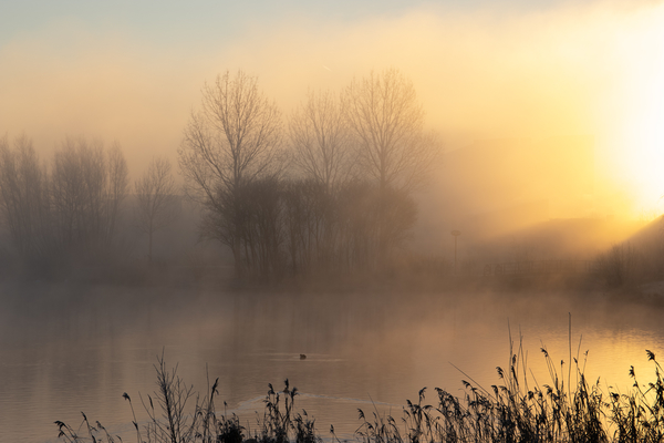 jan22 piet_nicolaas_noordhovenseplas