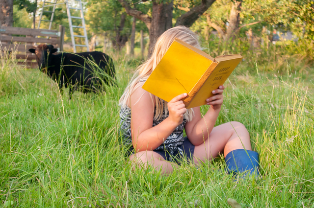 Boekenmarkt Puur Lief Fotografie 9