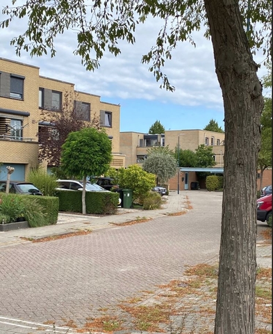 raminhout4b