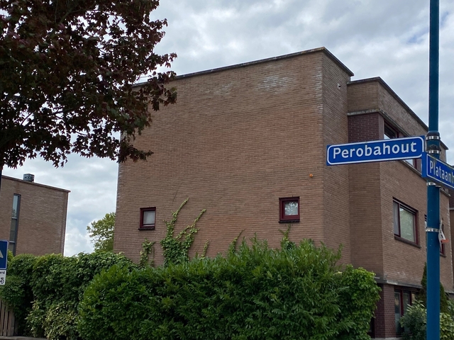 straatnaam perobahout