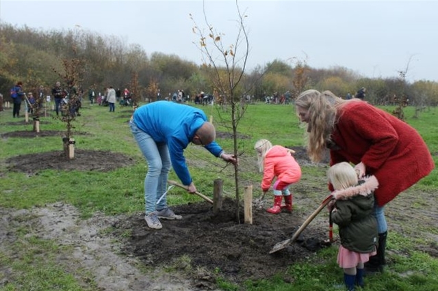 t feb 2022 boom planten 3