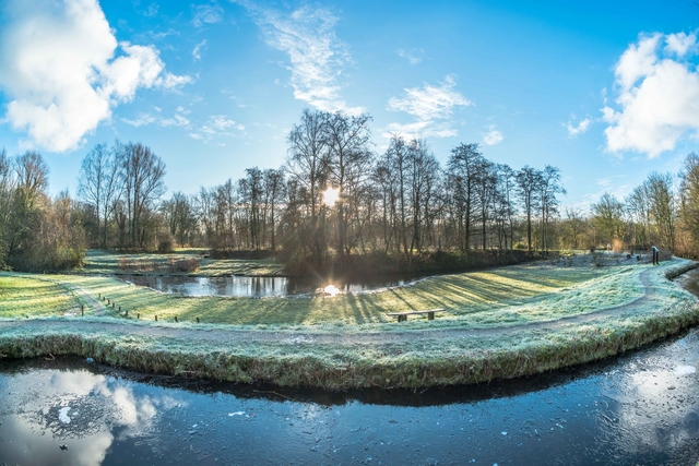 winterbeeld Natuurtuin