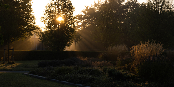 Nicolaas_Aldovan_Eyckpark_Noordhove