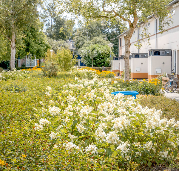 Van_der_Aapad_bloemen_Jeroen_Stahlecker