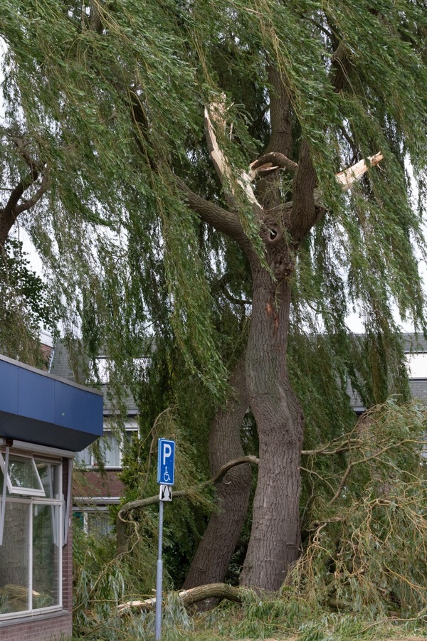 storm gershwinrode