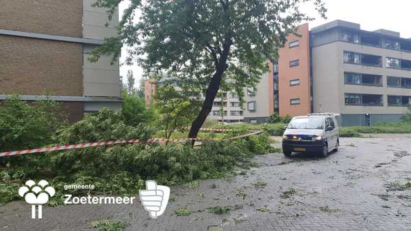 stormschade