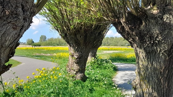 wjul23 annievanopijnen noord aa