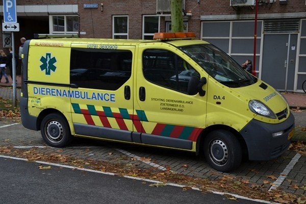 dierenambulance