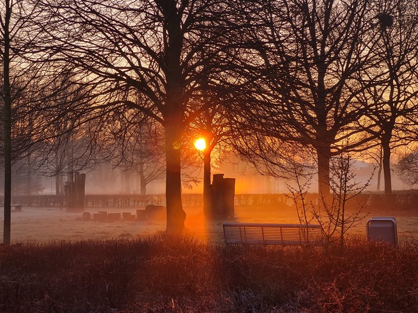 wapr23 Thomas_de_Roos_burg_Hoekstrapark