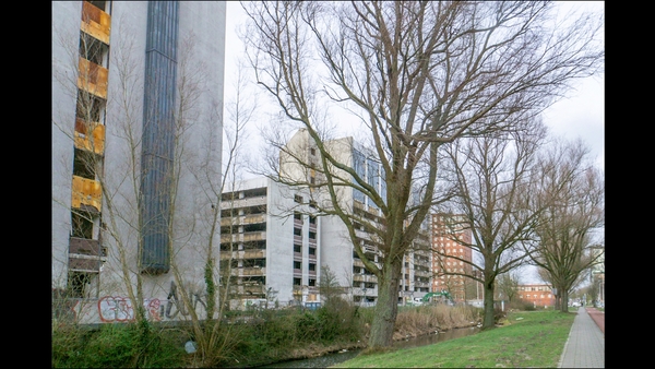 Fotos oude staat bomen Terra Nova 3