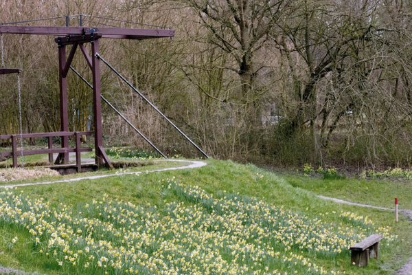 Natuurtuinnarcissebijophaalbrug