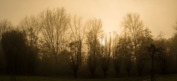 Stahlecker_Westerpark_bij_zonsondergang