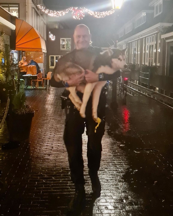 Agent met husky in Dorpsstraat