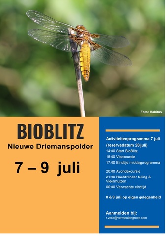 poster bioblitz