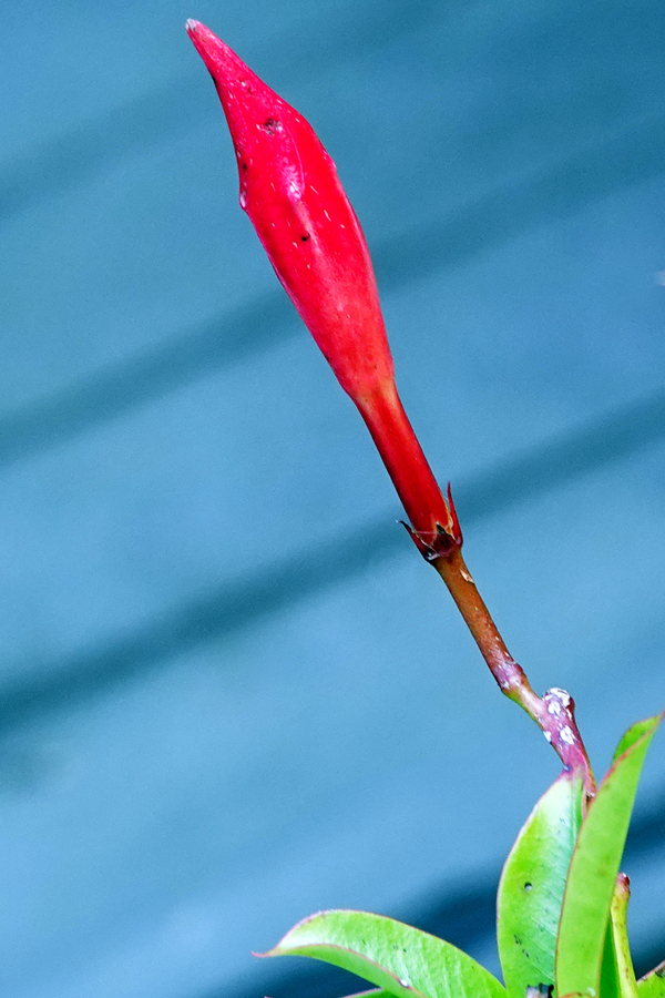 DSC01164a w