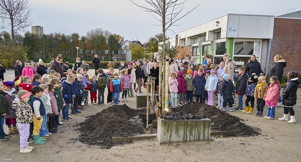 boomfeestdag elznehoek