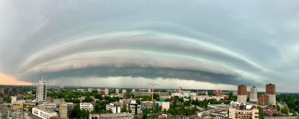 Cell wolk