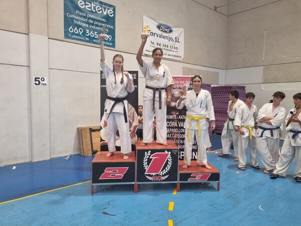 Zoetermeerse Dojo