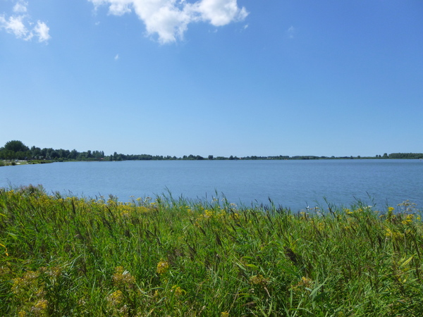 Zoetermeerse Plas