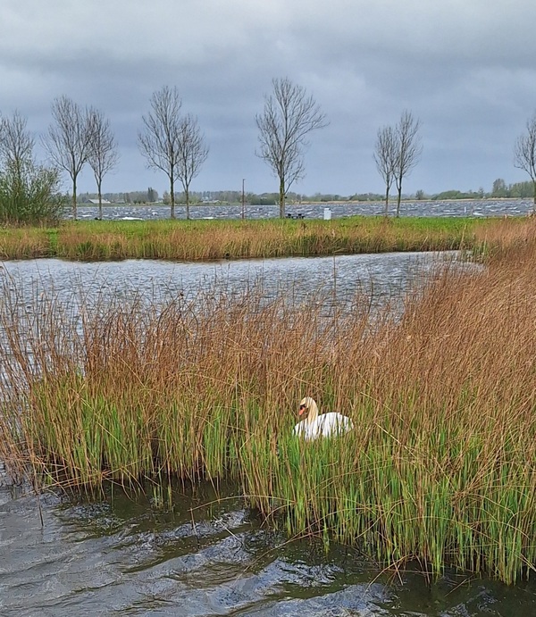 mei24 Ellis van der meulen storm en rust op Noord Aa