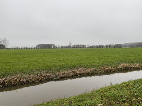 Locatie zonnepark Roeleveenseweg