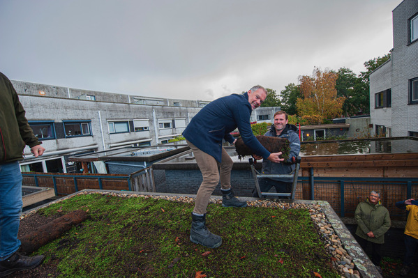 Gemeente Zoetermeer Groene daken 11 11 2023 02 kopie