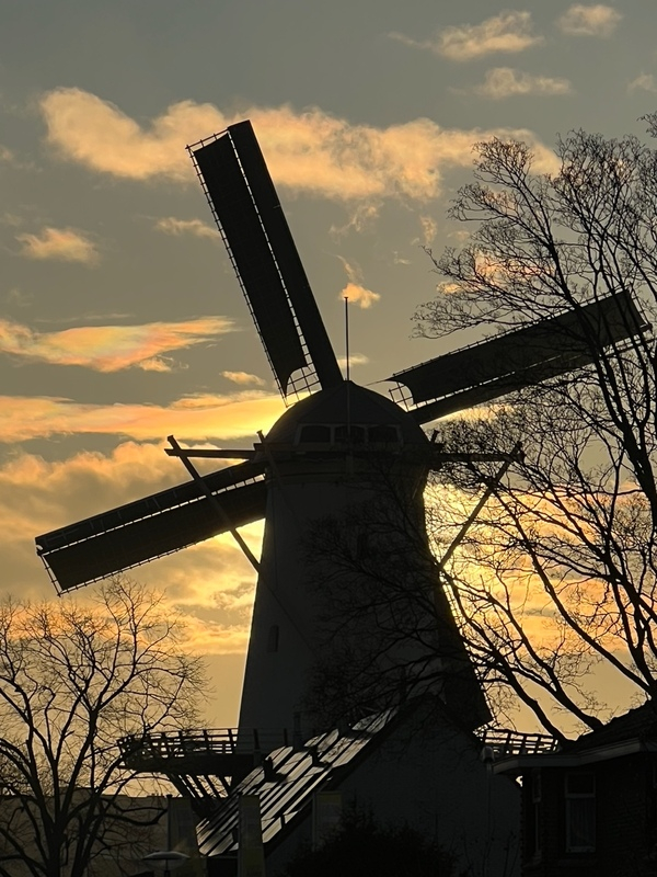 Molen copy