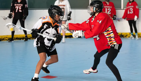 dali box lacrosse