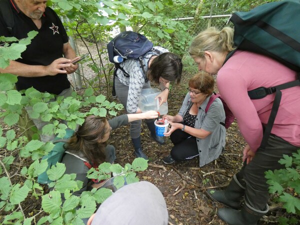 Op onderzoek in de Natuurtuin 1