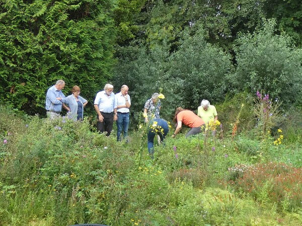 Op onderzoek in de Natuurtuin 3