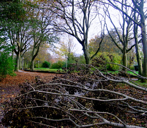 wjan24 Annie_van_Opijnen_Vuurdoornpark_Seghwaert