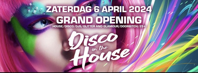 Disco in house