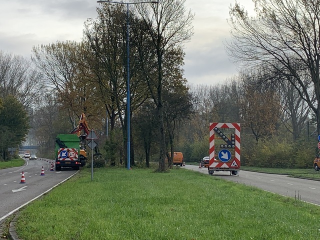 bomen kappen 001