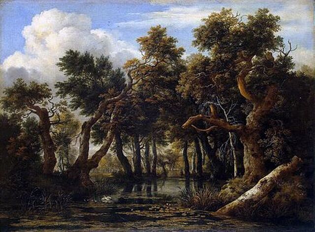 wooded Marsh