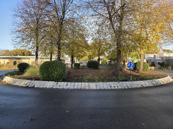 Groene rotonde blijft gratis dankzij motie