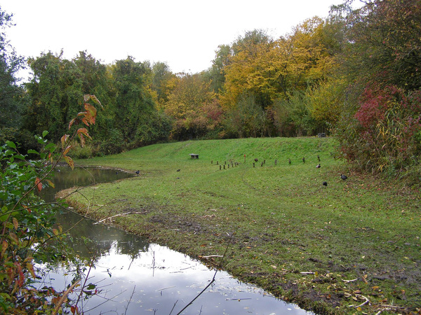 Herfst in de Natuurtuin3
