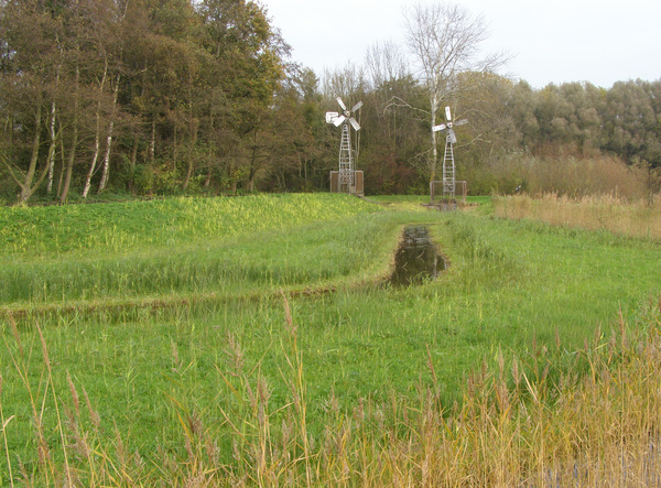 Herfst in de Natuurtuin4