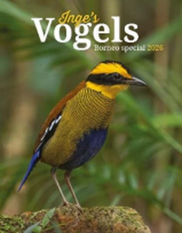 Vogels 2