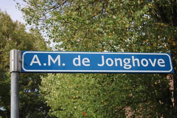 IMG 0514