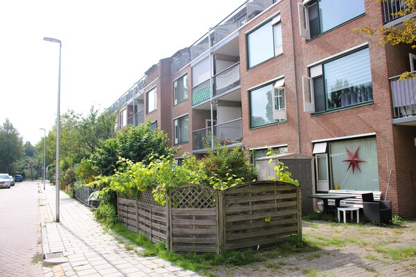 IMG 0518
