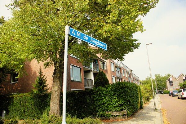 IMG 0523
