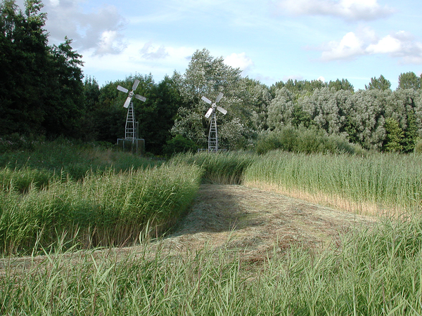 Rietmolensenpolder