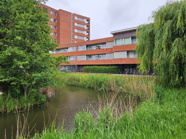 De Waterparel Oosterheem 1