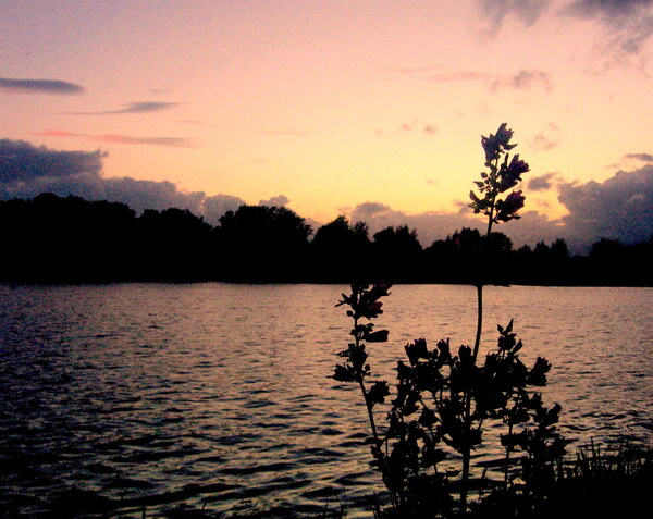 aug25 annie_van_opijnen_Zoetermeerse_plas
