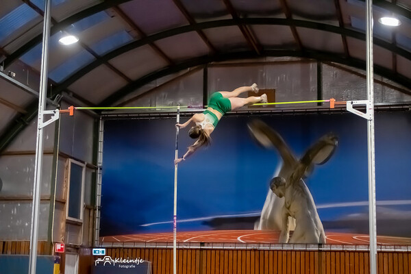 polsstokgala