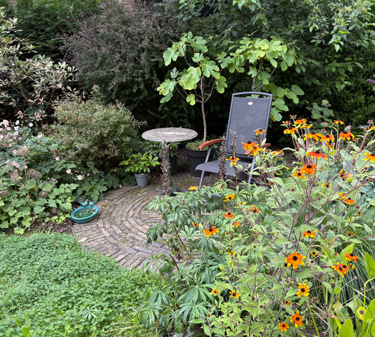 Groen tuin