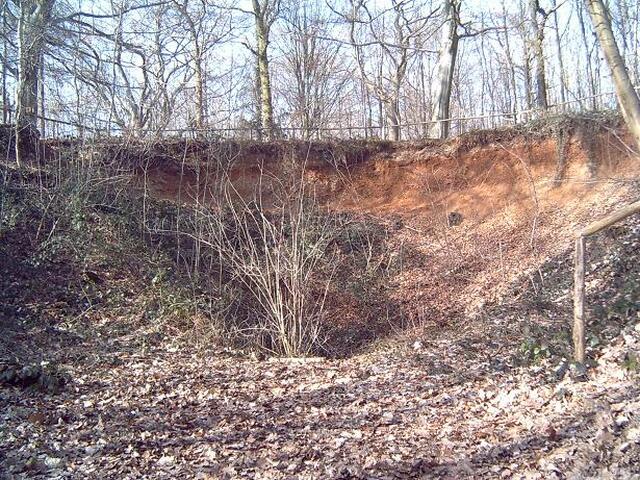 IMG 3621
